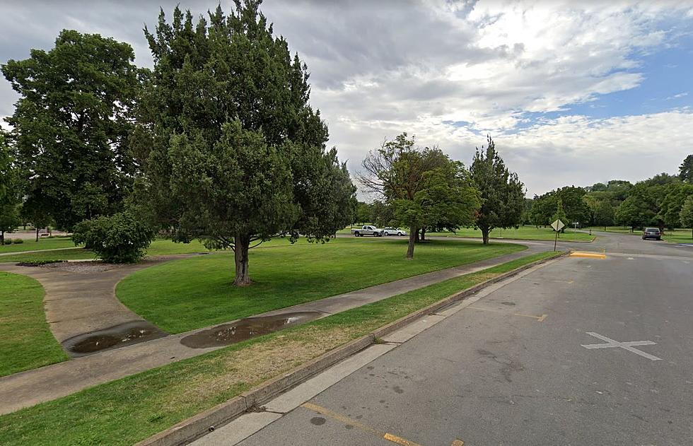 City of Boise Acknowledges They Have a Weed Problem