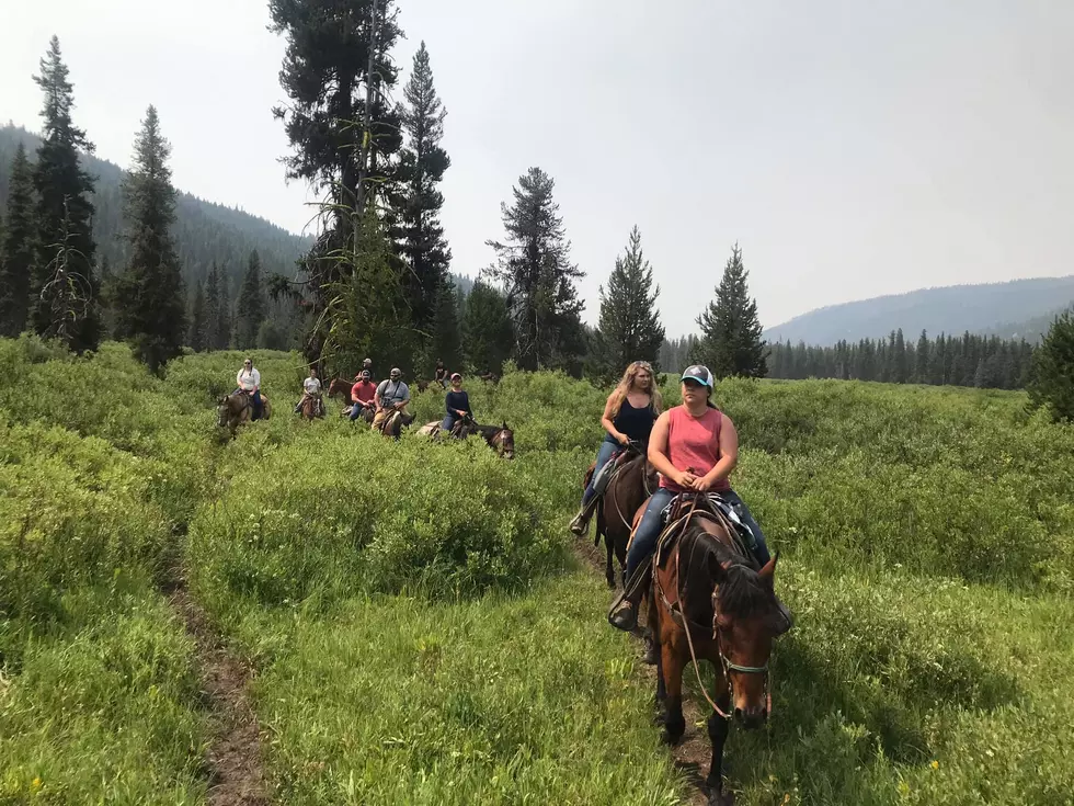 Where to Enjoy Gorgeous Horseback Riding Adventures in Idaho