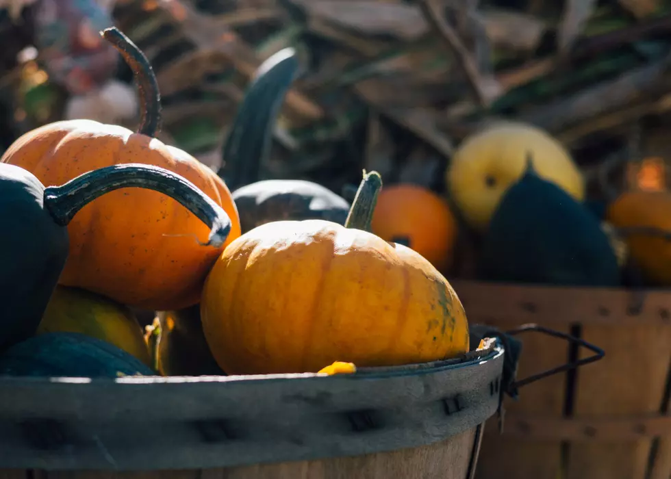 Lowe Family Farmstead In Kuna Will Open Early This Year