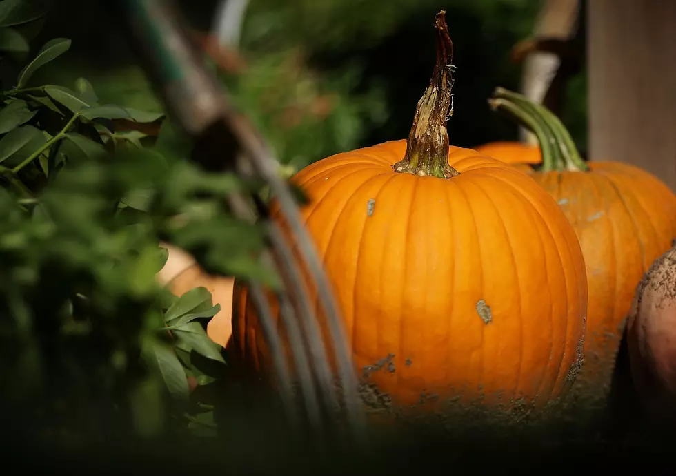 I Know It’s Fall When…