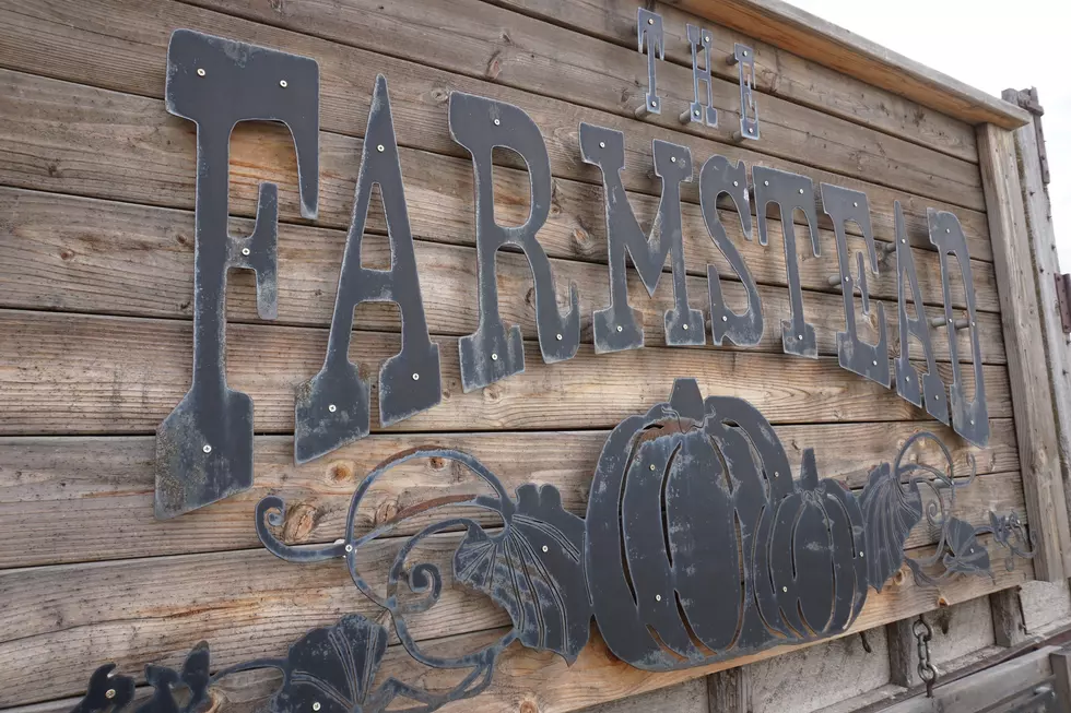 The Boom is Real. The Farmstead Location Was Just Purchased