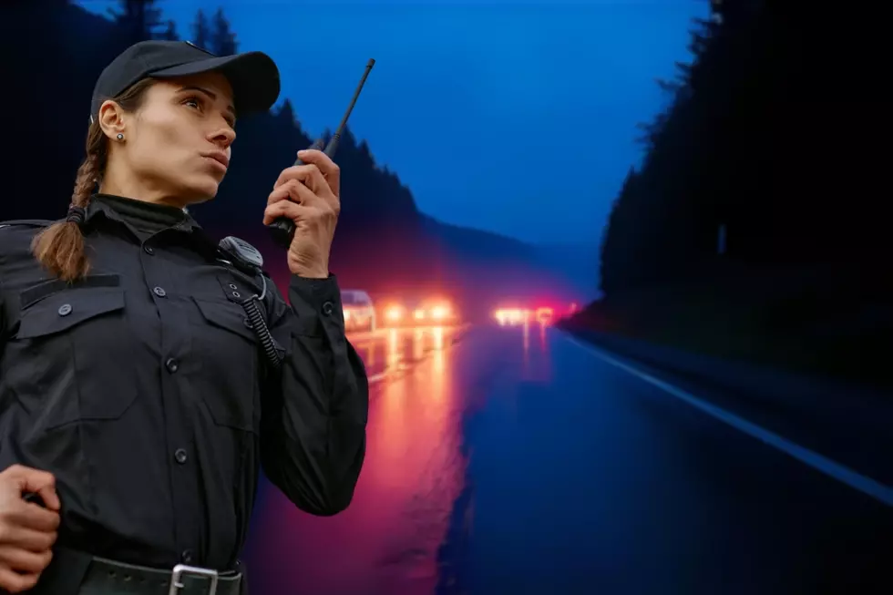 Idaho Police Legalize Use Of Automated License Plate Readers